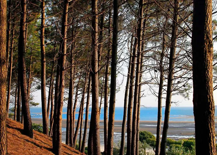 شقة Centre - Joli T3 Confort - 4 Personnes - Balcons - Parking Securise - Fr-1-420-34 *